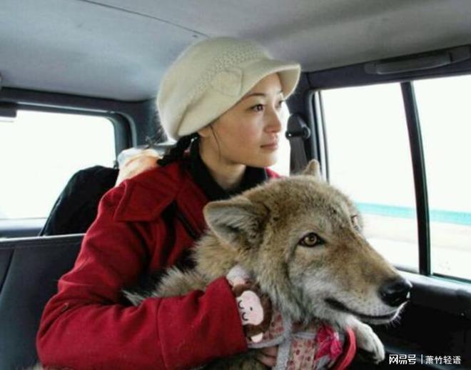 半月未见格林失望之际一头野狼放下一样东西冰球突破豪华版app十年之约李微漪苦等(图1)