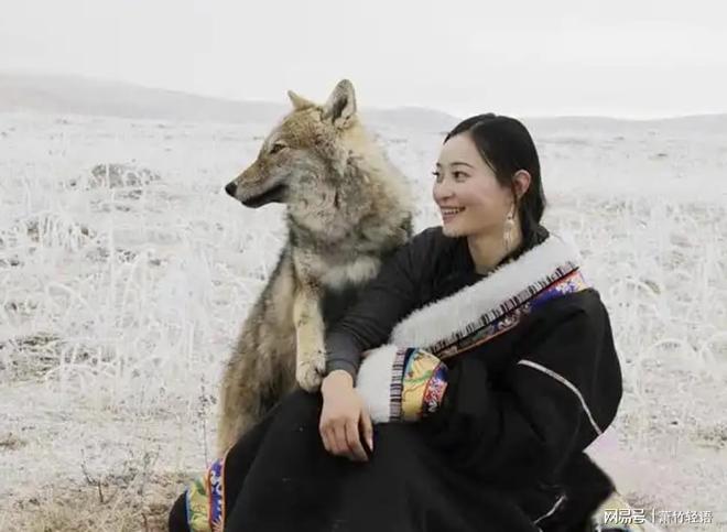 半月未见格林失望之际一头野狼放下一样东西冰球突破豪华版app十年之约李微漪苦等(图2)