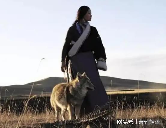 半月未见格林失望之际一头野狼放下一样东西冰球突破豪华版app十年之约李微漪苦等(图4)